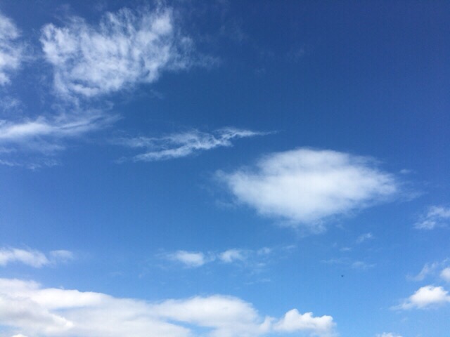 昼の空。今日の空を記しておこう。
