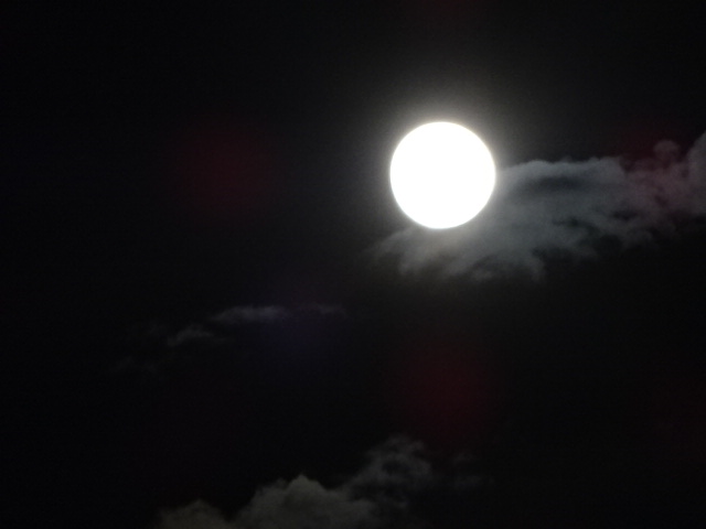 月の綺麗な夜ですよ。双子座の満月手前。