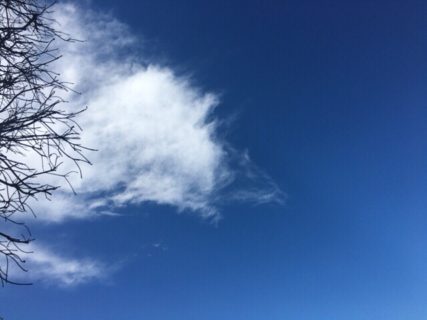 今日の空を記しておこう。2019Jan26 青空と白い雲の対比がキレイ