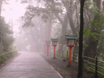 雨の高尾山@東京　霧に煙る緑の風景【御朱印帳めぐり】